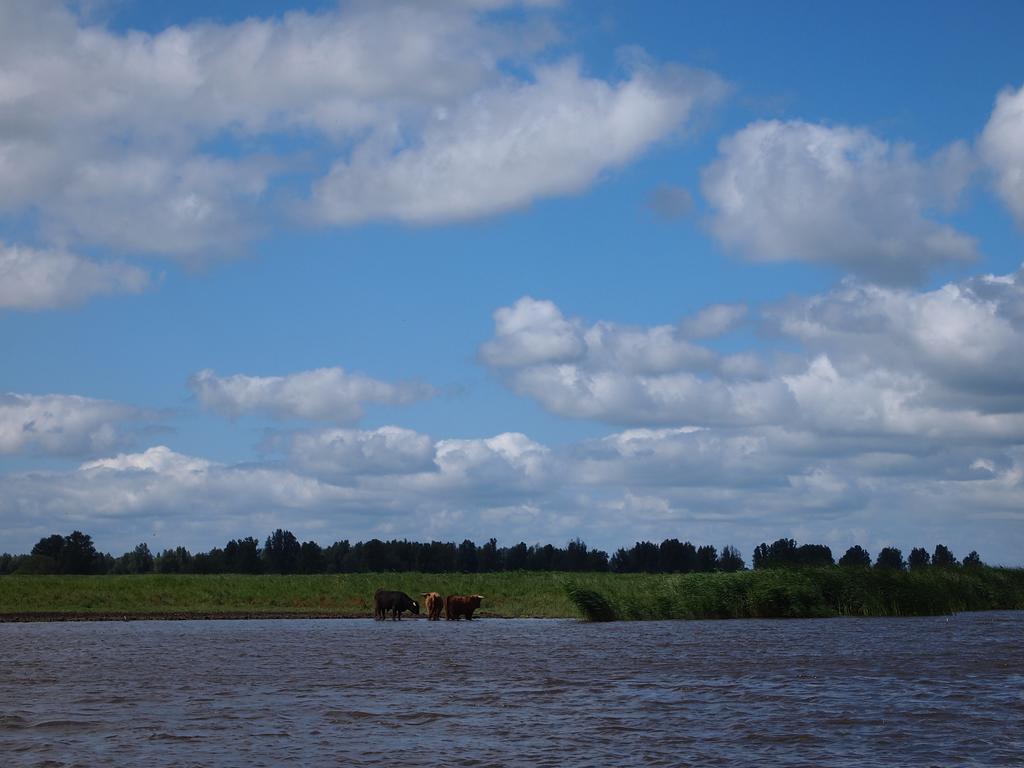 德恩奈吉克住宿加早餐旅馆 Wehe-den Hoorn 外观 照片